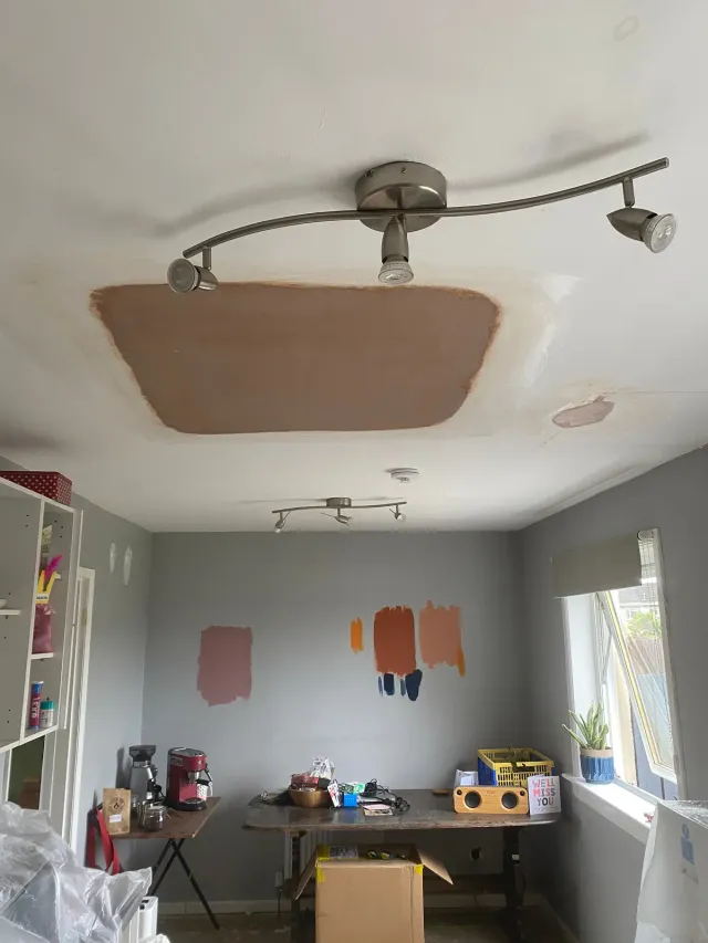 A large ceiling patch plastered and made good
